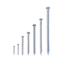 Durable Galvanized Stainless Steel Carbon Concreat Nail