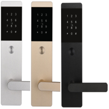 EVDAL0162-A2 smart cloud lock