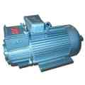 YB Series Explosion-proof motors