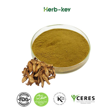 Burdock Root Extract 40%