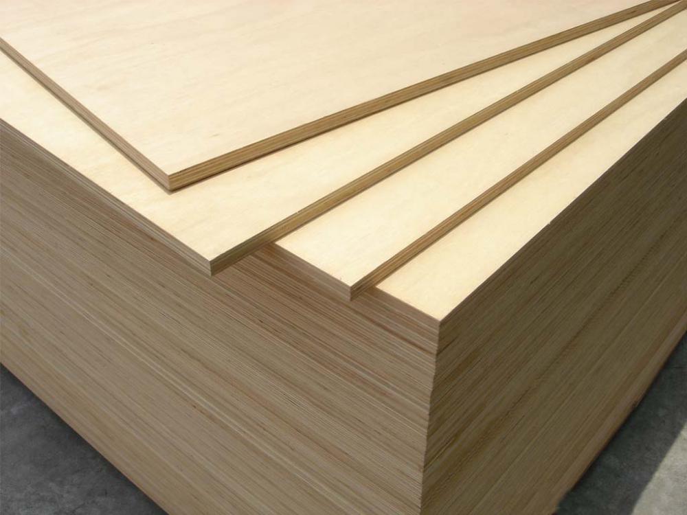 Bintangor Poplar Plywood Bintangor Poplar Plywood