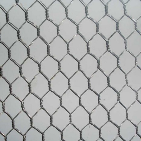 Hexagonal Wire Mesh (LY-hexagonal 2)