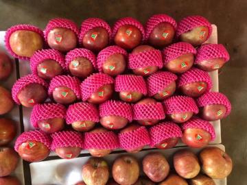 Mountain Plastic Bagged FUJI