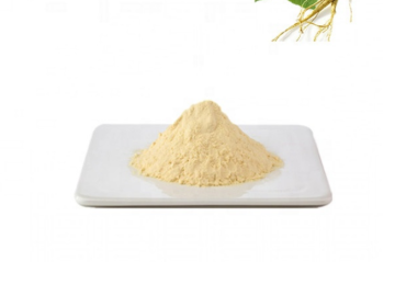 high quality ginseng extract ginsenoside 80% powder