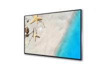 55 inch Touch Screen kiosk Advertising Display