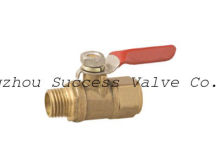 Gauge Isolator Valve