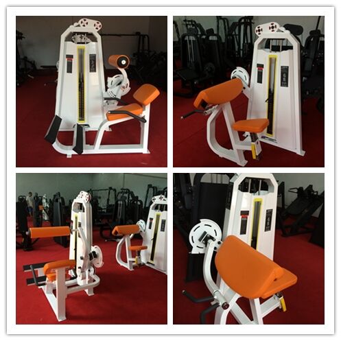 Precor Strength Machine, Super Bench (PB23)