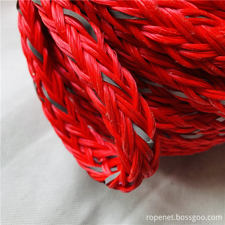 Red Ski Rope 2