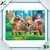 bear puzzle puzzle development toys