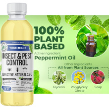 Private Brand Bulk Price 100% Natural Peppermint Oil Insect Repellent Concentrate for Indoor &Outdoor Bug, Spiders, Ants Control