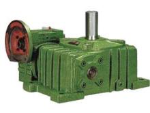 WPE Industrial Worm Gear Reducer Double Reduction Worm Gear