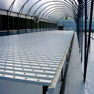 Agricultural Flat Hydroponic Commercial Hydroponics