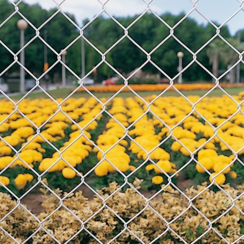 Galvanizado 6 Gauge Chain Link Fence Mejor precio