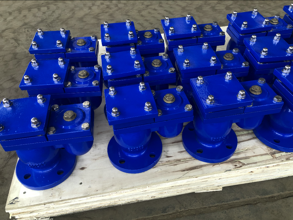 DN50-DN300 Ductile Iron Flanged Double Orifice Air Release Valve  for water pipe line