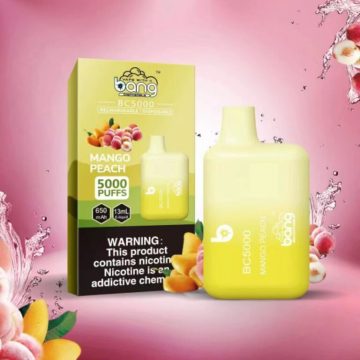 BANG BC 5000 Puffs Vapes