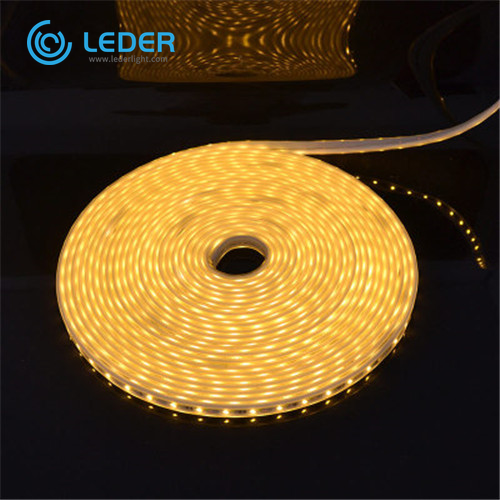 Tira de luz LED suave para exteriores LEDER