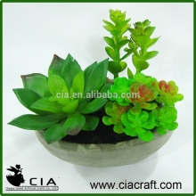 Mini Artificial Pottery Potted Echeveria Succulent Table Plants for Sale