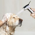 Ducha de mano para rociador de ducha para perros