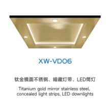 Elevator Ceiling Series XW-VDO6