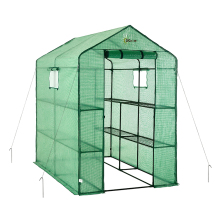 PE Double Compartment Walk-In Greenhouse for Winter Plant Growing
