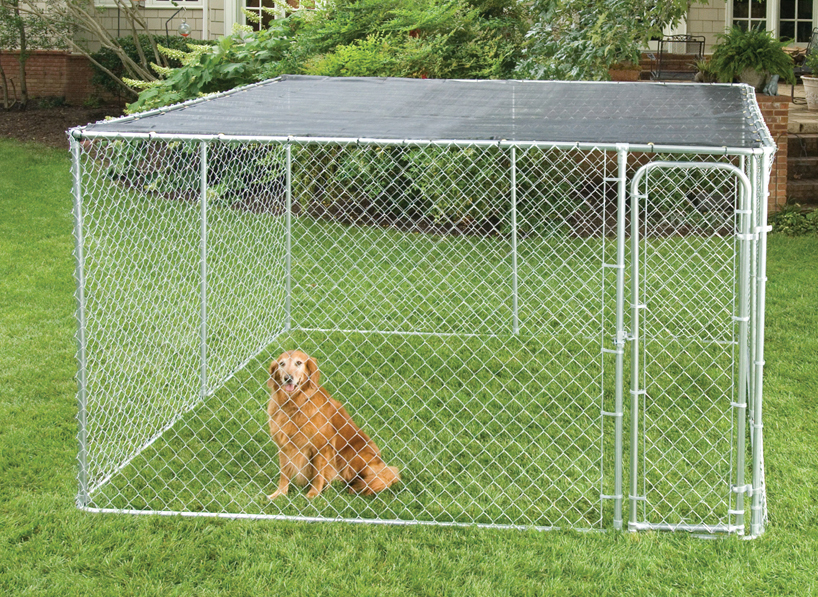 dog kennel