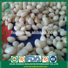 Bulk Factory Direct Organic Masson Pine Nut Kernels