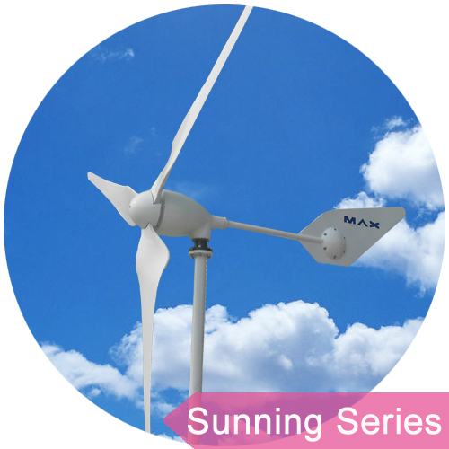 1000W 48V Small Wind Turbine Generator