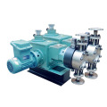 Hydraulic Diaphragm multiple head metering Pump