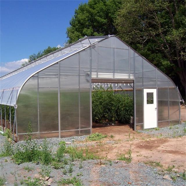 Galvanized material Frame singlespan arch tunnel greenhouse