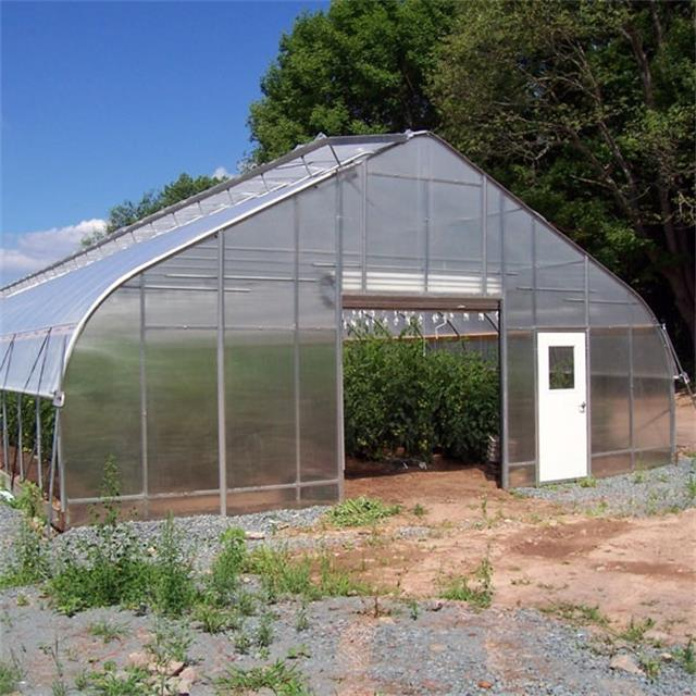 Cheap Single Span Film Tunnel Greenhouse