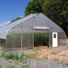 Invernadero de túnel vegetal de policarbonato de un solo invernadero