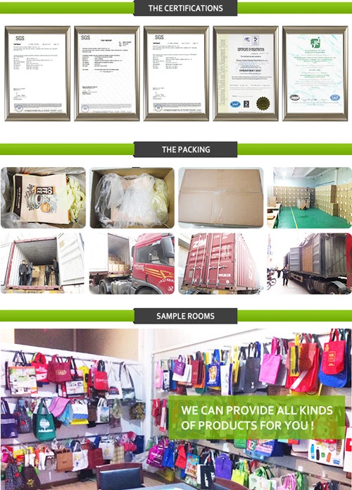 Factory Good Quality Canvas Bag, Canvas Tote Bag, Canvas Shopping Bag