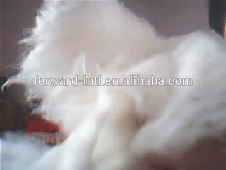 15.5mic white color inner mongolia cashmere
