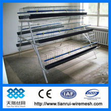 Hot Galvanized Automatic Chicken Cage for growing broilers and pullets
