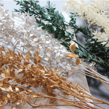 YAYUN A-3060 Preserved Leaves for Floral Arrangement: Riches and Honour