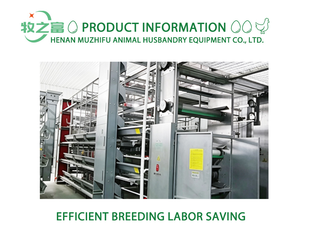 স্বয়ংক্রিয় সার অপসারণ সিস্টেম X Automatic Manure Removal System X