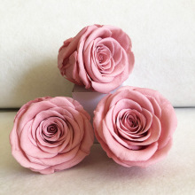 High Quality Yunnan Grade A Immortal Preserved Roses - Wholesale Eternal Roses