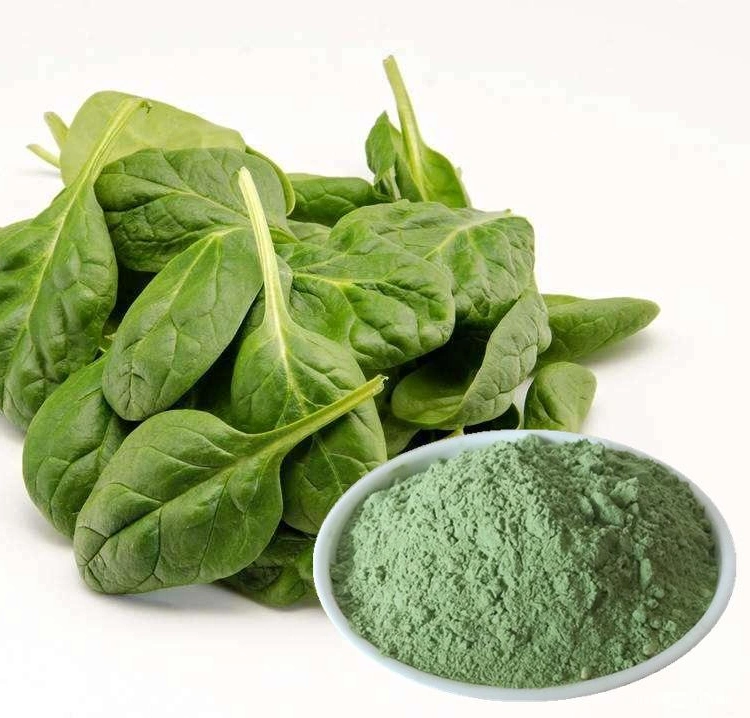 100% Pure Dried Spinach Vegetable Powder China