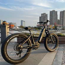 New Design Central Motor Lowrider Bike for Sale with Hydraulic Disc Brakes