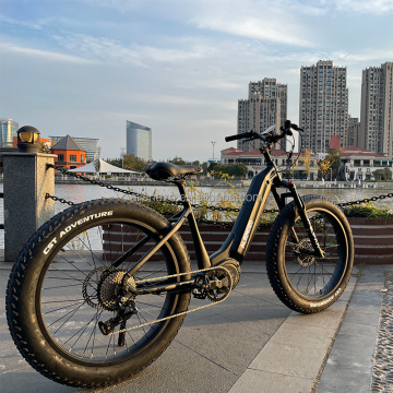 New Design Central Motor Lowrider Bike for Sale with Hydraulic Disc Brakes