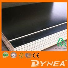 Plywood/pine wood /pine timber/LVL/LVB