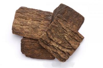 Top Quality Eucommiae Cortex