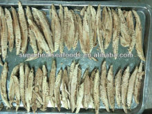 Bonito/Tuna Loin Fish meat