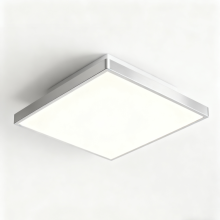 Ceiling light with wide coverage