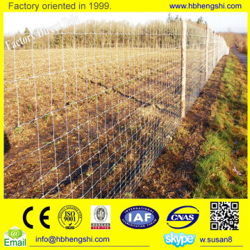 Factory cattle fences/wildlife barriers/meadow fence