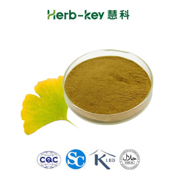 Ginkgo Biloba Extract 24% 6%