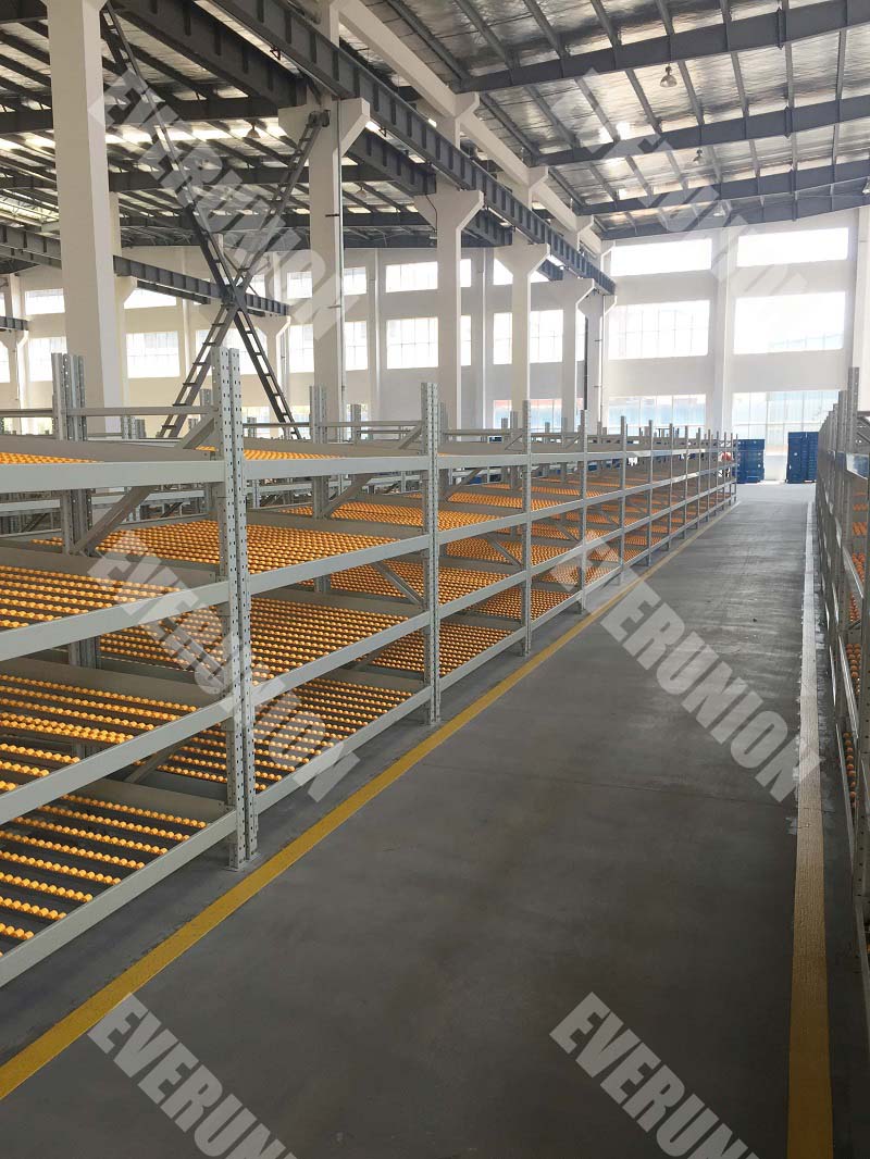 Gravity Flow Roller Racking Systems Carton Flow Racks