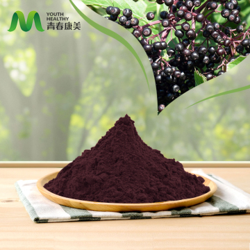 High Quality Elderberry Powder with Anthocyanins