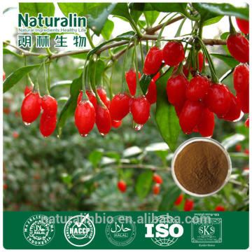 Pure Freeze Dried Goji Berry Powder