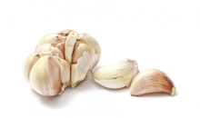 Export grade fresh garlic